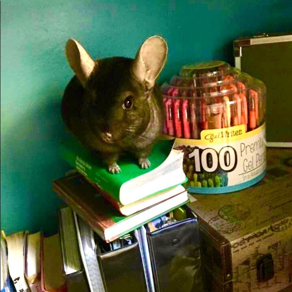 ❤️ Family ❤️ - Picture 3 of 15